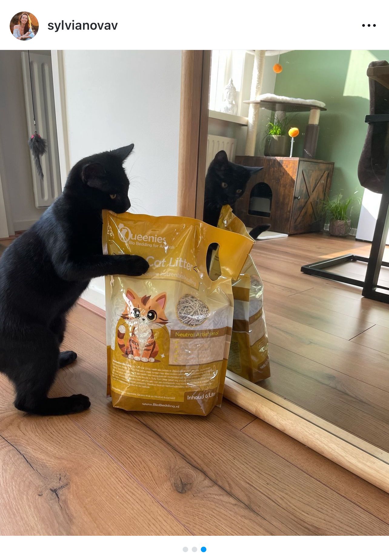 Kattengrind voor gravende katten